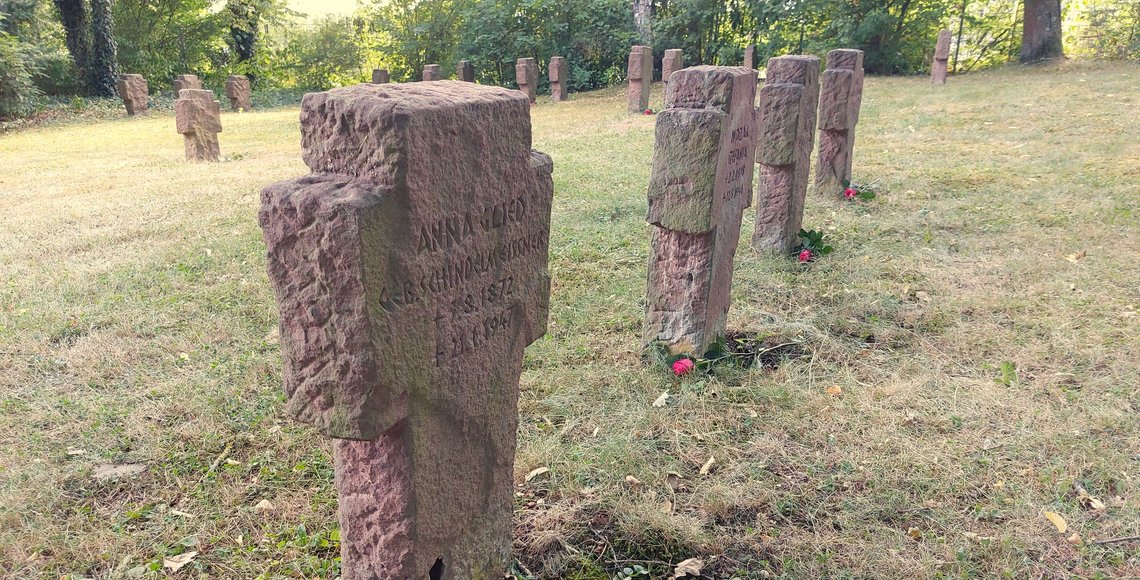 Grabsteine auf dem Zentralfriedhof Fulda mit Rosen