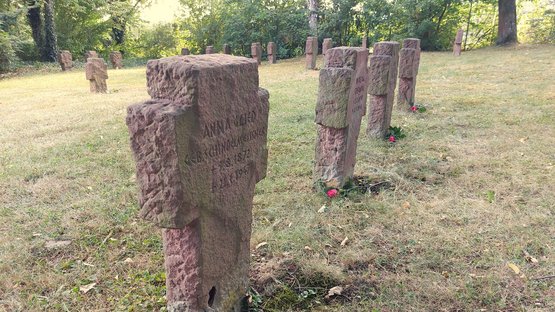 Grabsteine auf dem Zentralfriedhof Fulda mit Rosen