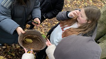 Wehrmachtshelm als Geländefundstück